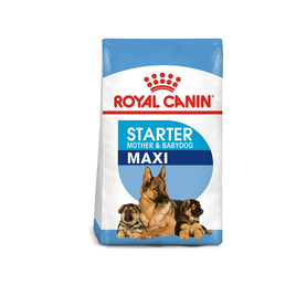 Royal Canin Maxi Starter For Mother and Babydog - Dry Food (4KG/15KG)