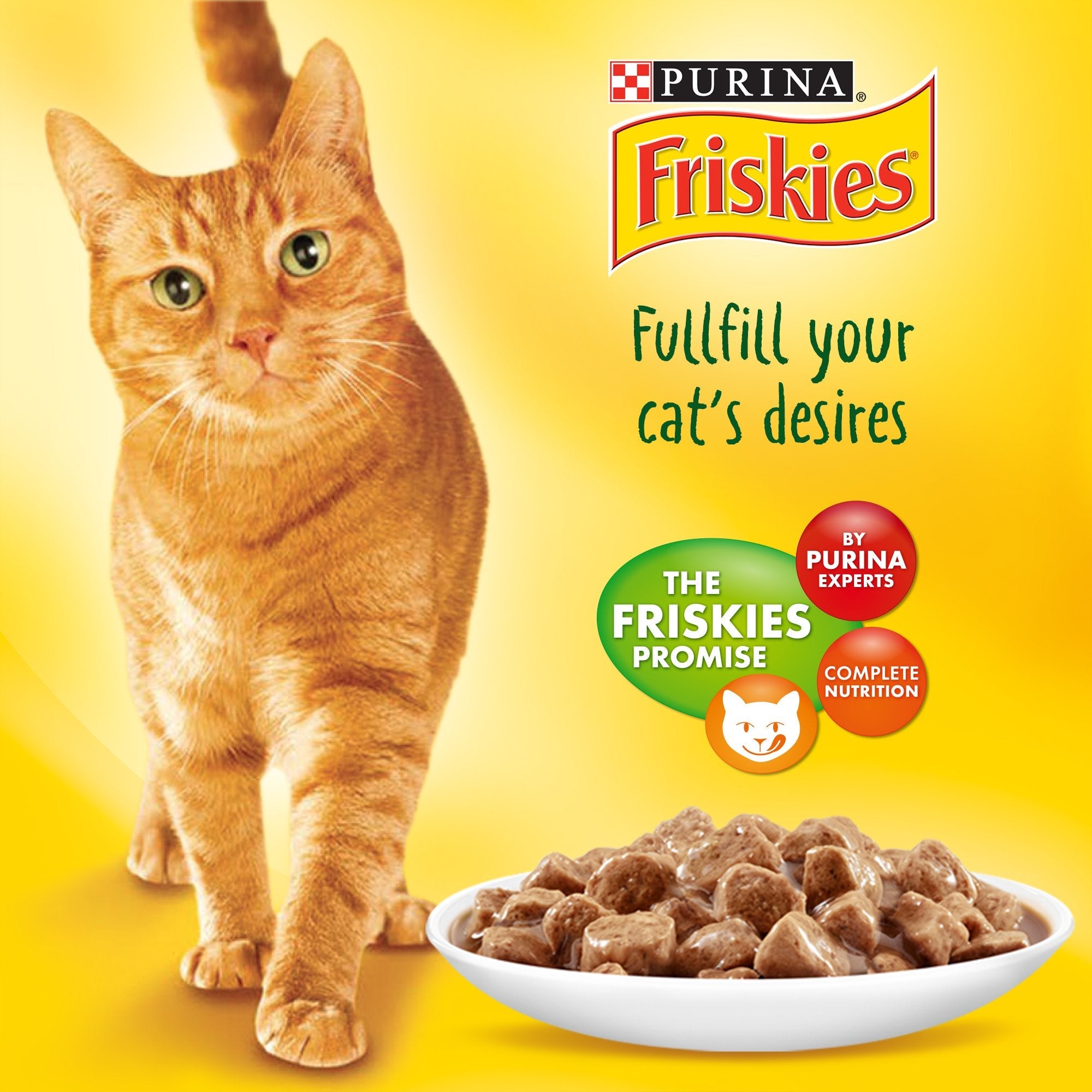 Purina Friskies Salmon Chunks in Gravy Wet Cat Food Pouch 85g