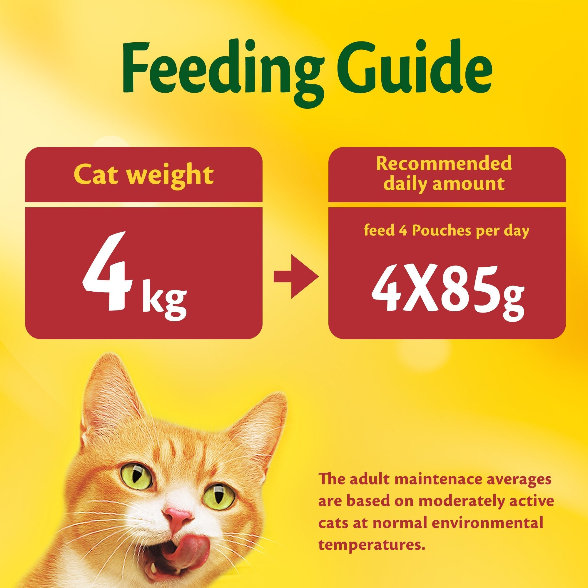 Purina Friskies Salmon Chunks in Gravy Wet Cat Food Pouch 85g