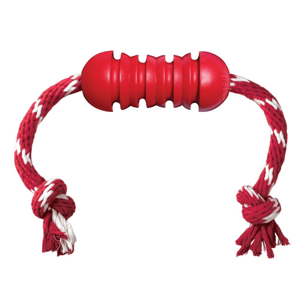KONG® Dental with Rope