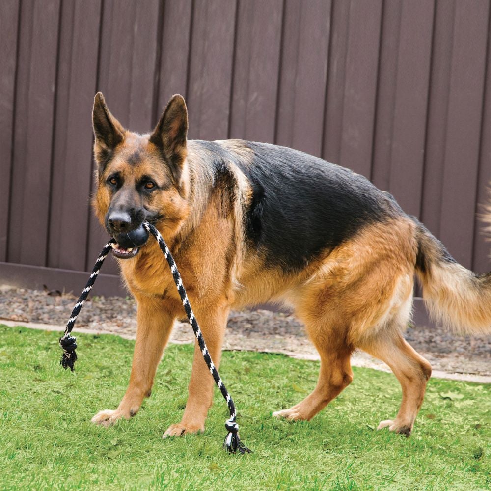 KONG®Extreme Ball w/Rope
