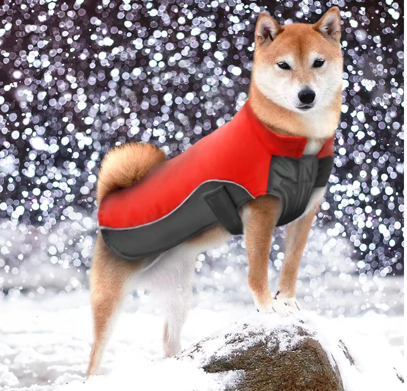Benepaw Winter Warm Dog Coat Jacket