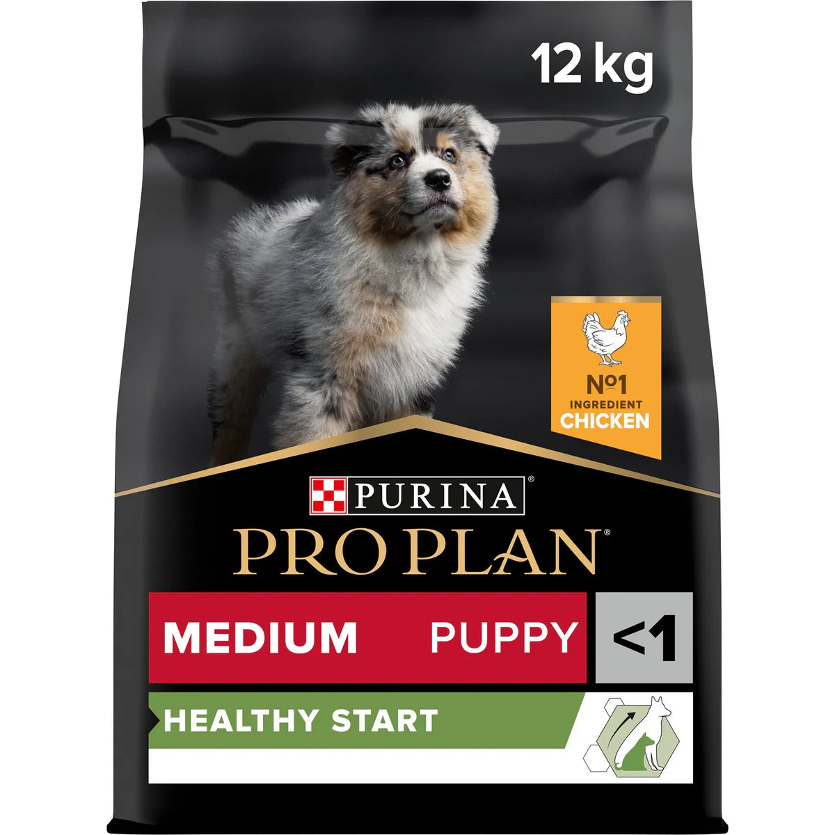 Purina Pro Plan Medium Puppy with Chicken – 12kg