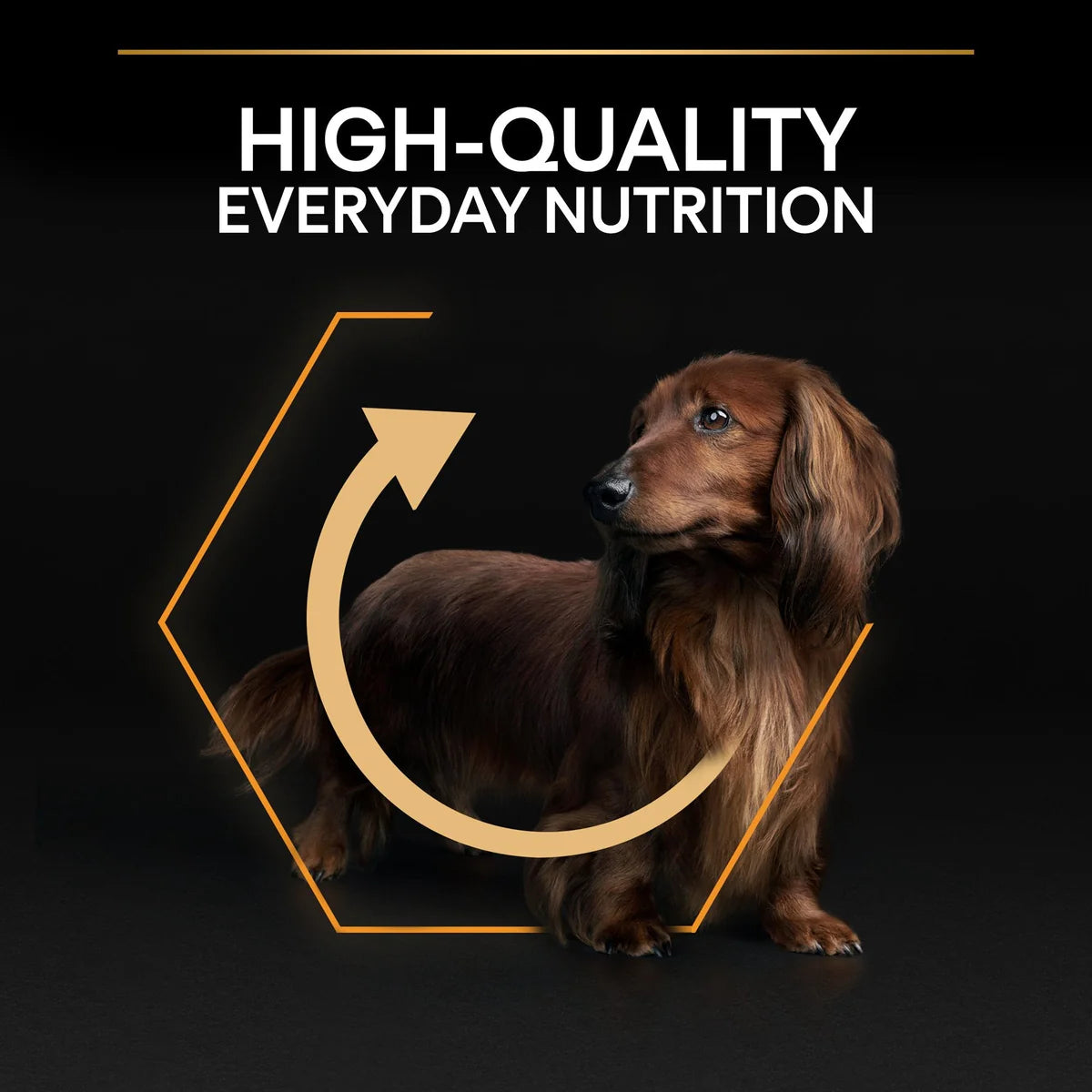 Pro Plan Dog Dry Food Adult Small & Mini Everyday Nutrition 3 kg