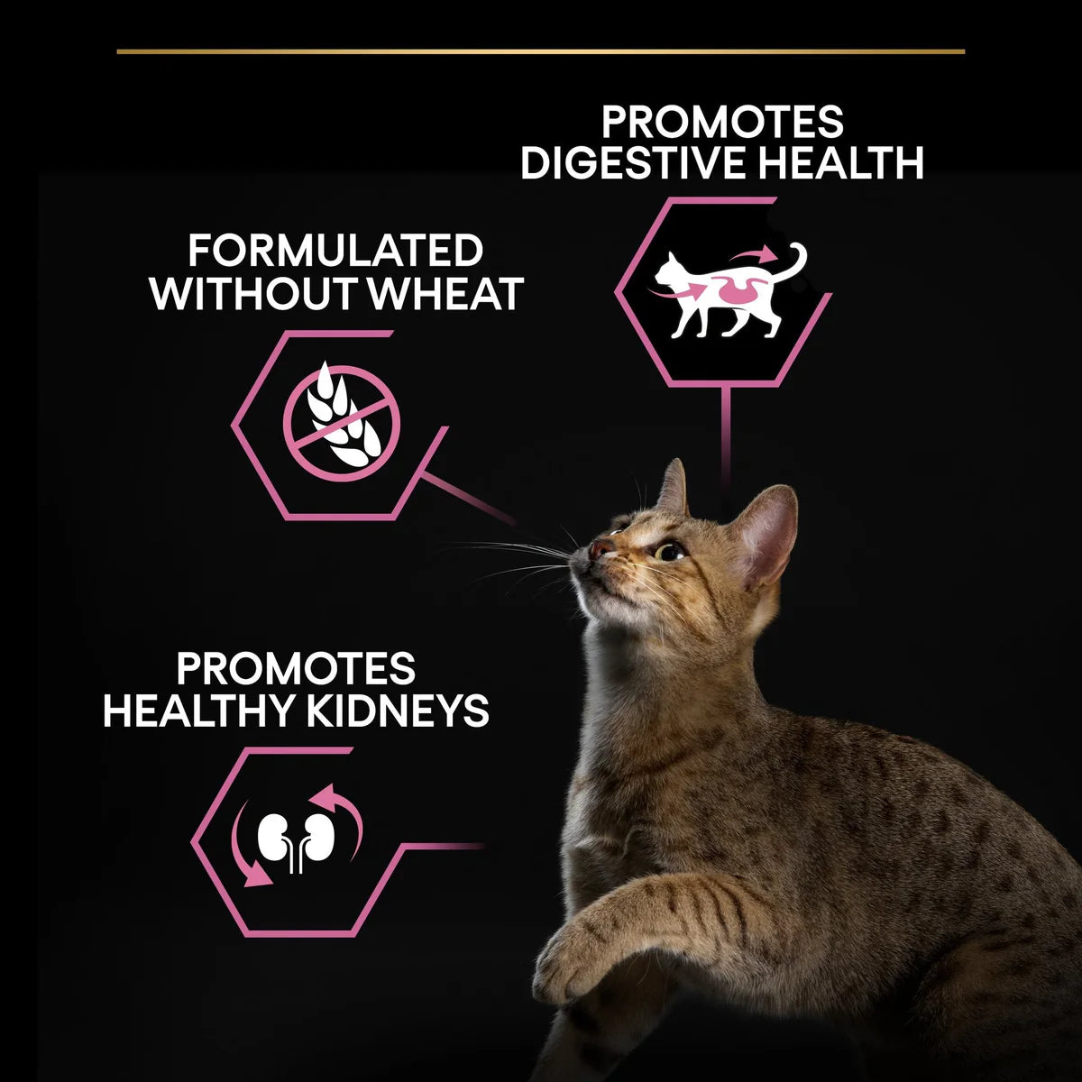 PURINA® PRO PLAN Delicate Turkey – For Cats with Sensitive Digestion 1.5kg