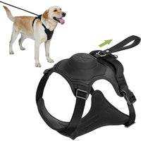 No Pull Dog Harness with Retractable Leash 2 in 1