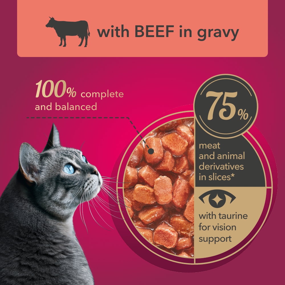 My Love Cat Wet Food Beef in Gravy - Pouch 85 gm