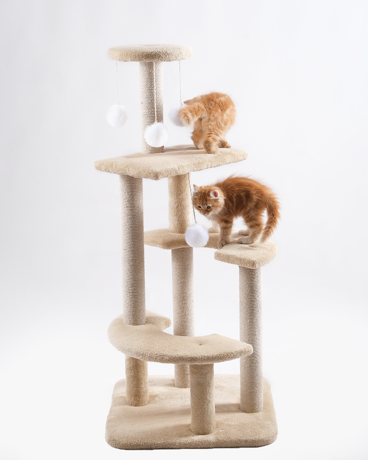 Cat Castle scratch 10035