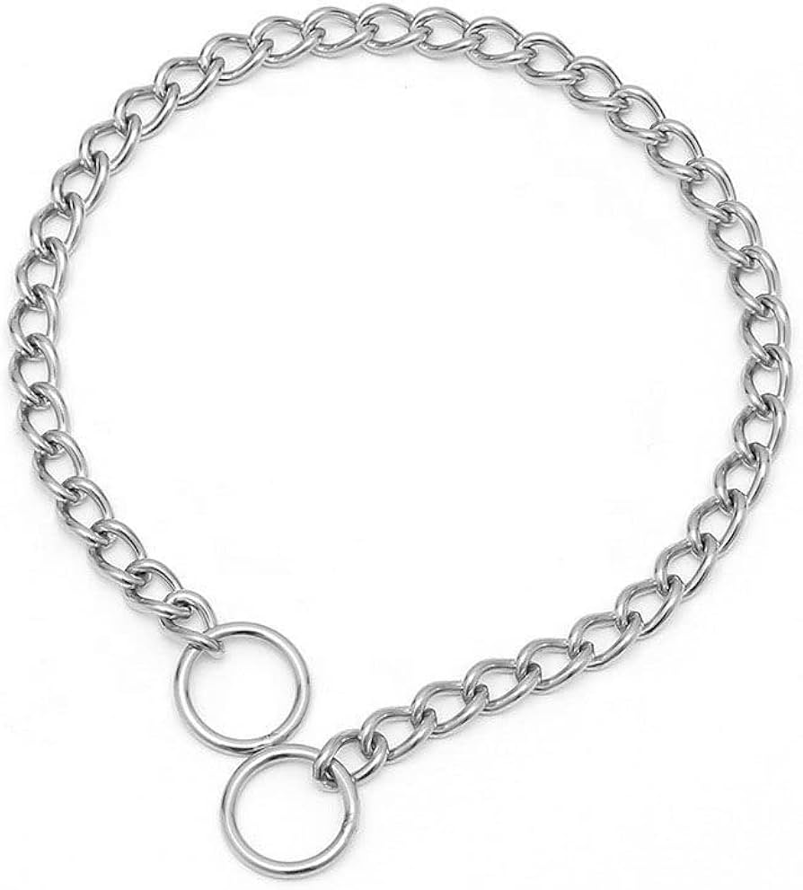 silver dog chain