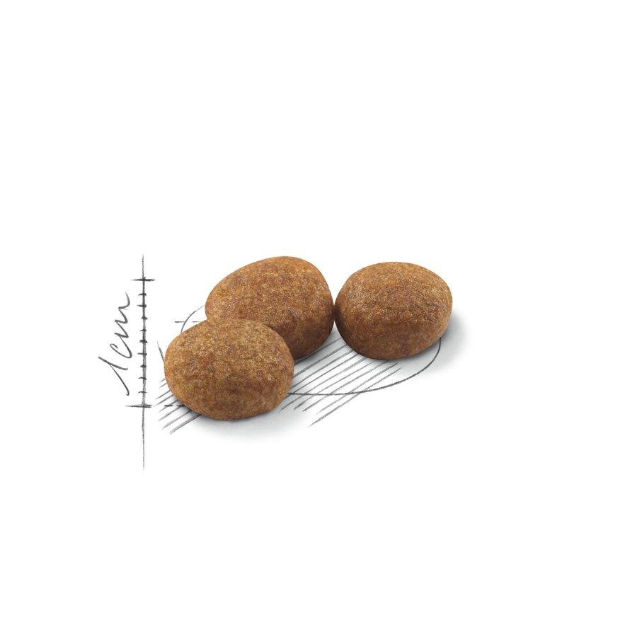 Royal Canin Sterilised 37 Cat Dry Food 2Kg