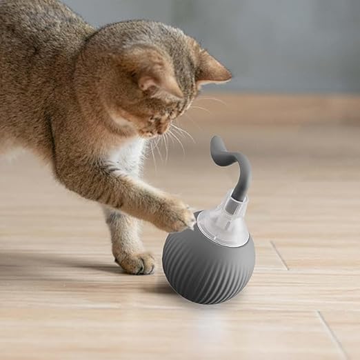 Flashing Ball Cat and dog Toys