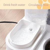 Food Dispenser with Water Container 2 in 1