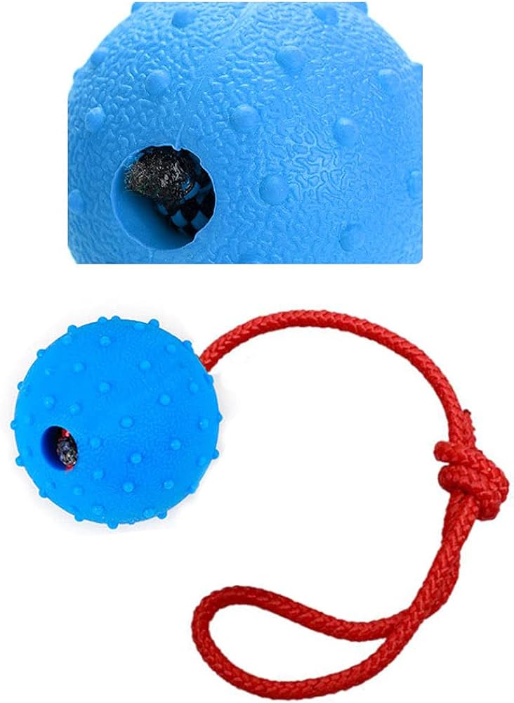 dog training ball