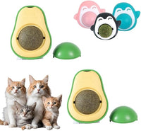 Cat Toys with Catnip