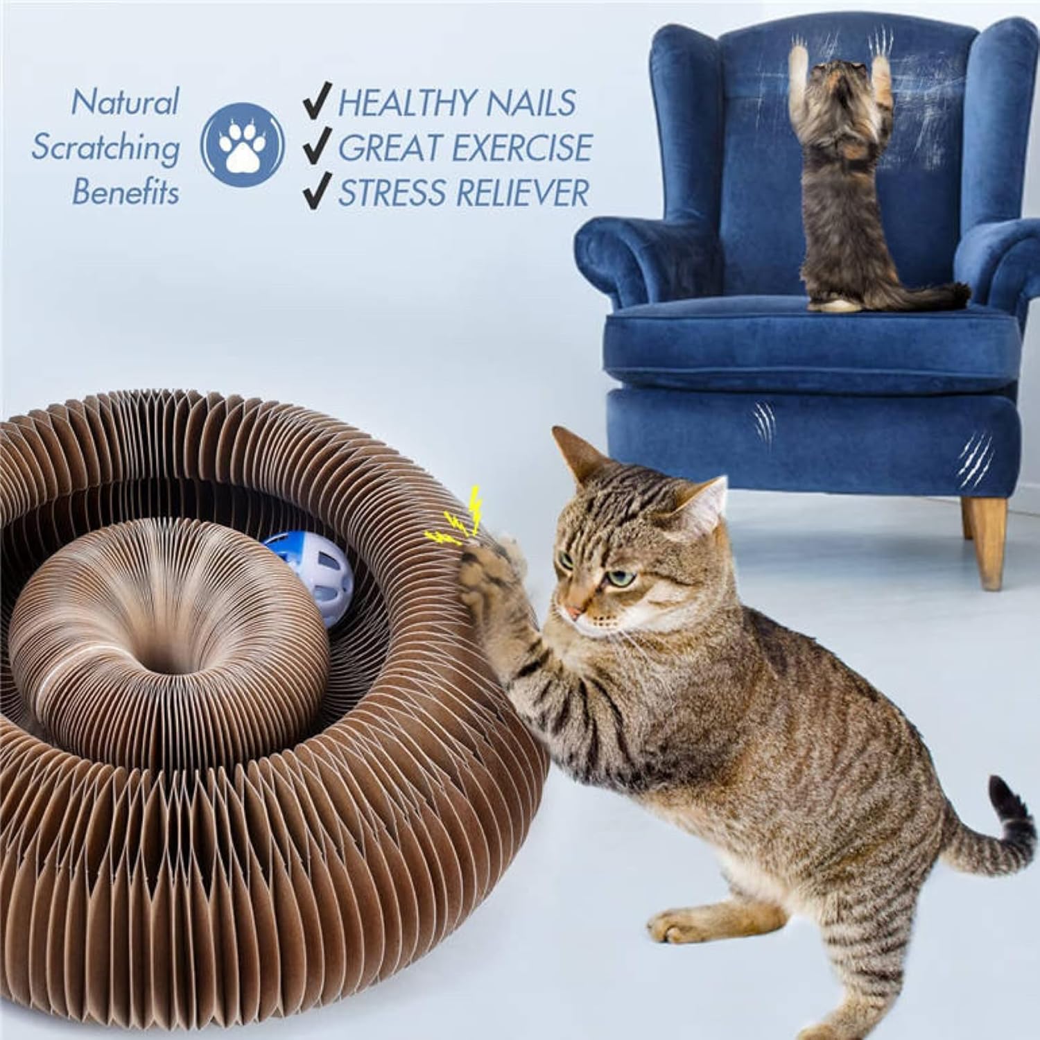 Magic Cat Ball-Cat Toy Scratcher Ball