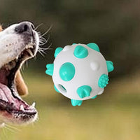 Pet Molar BaLL