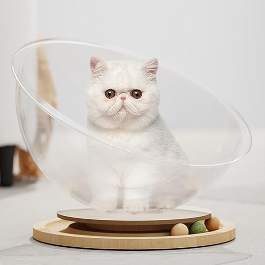 Transparent cat house with wood turntable