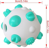 Pet Molar BaLL