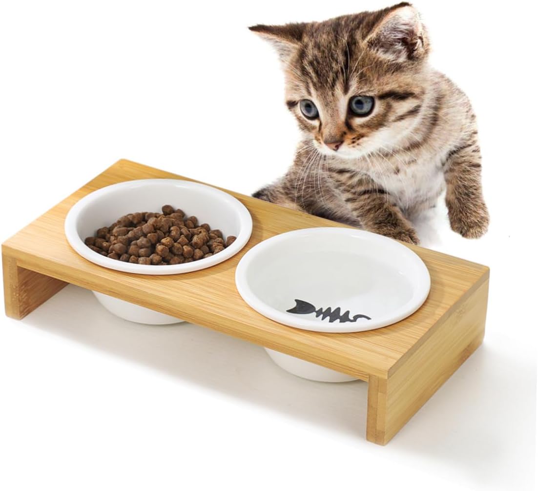 ceramic food & water bowl with wood stand