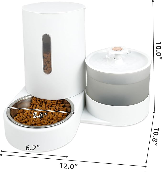 Food tank with water Fountain