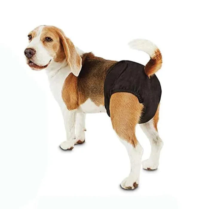 Petmoda Diaper for heat x small