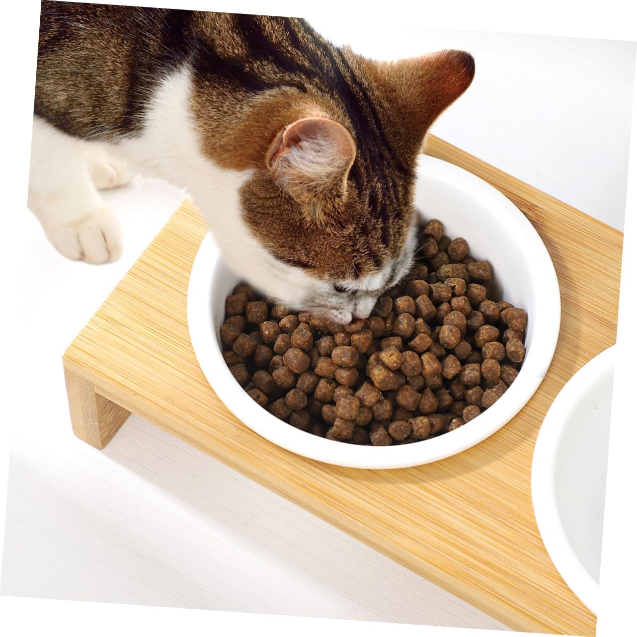 ceramic food & water bowl with wood stand