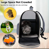 Backbag for cats