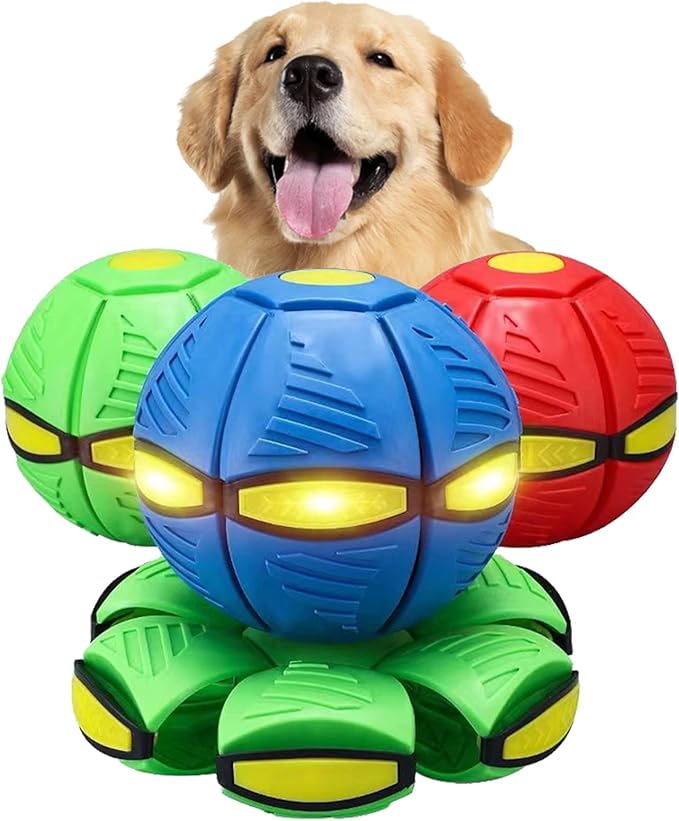 Flying Saucer Dog Ball