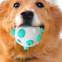 Pet Molar BaLL