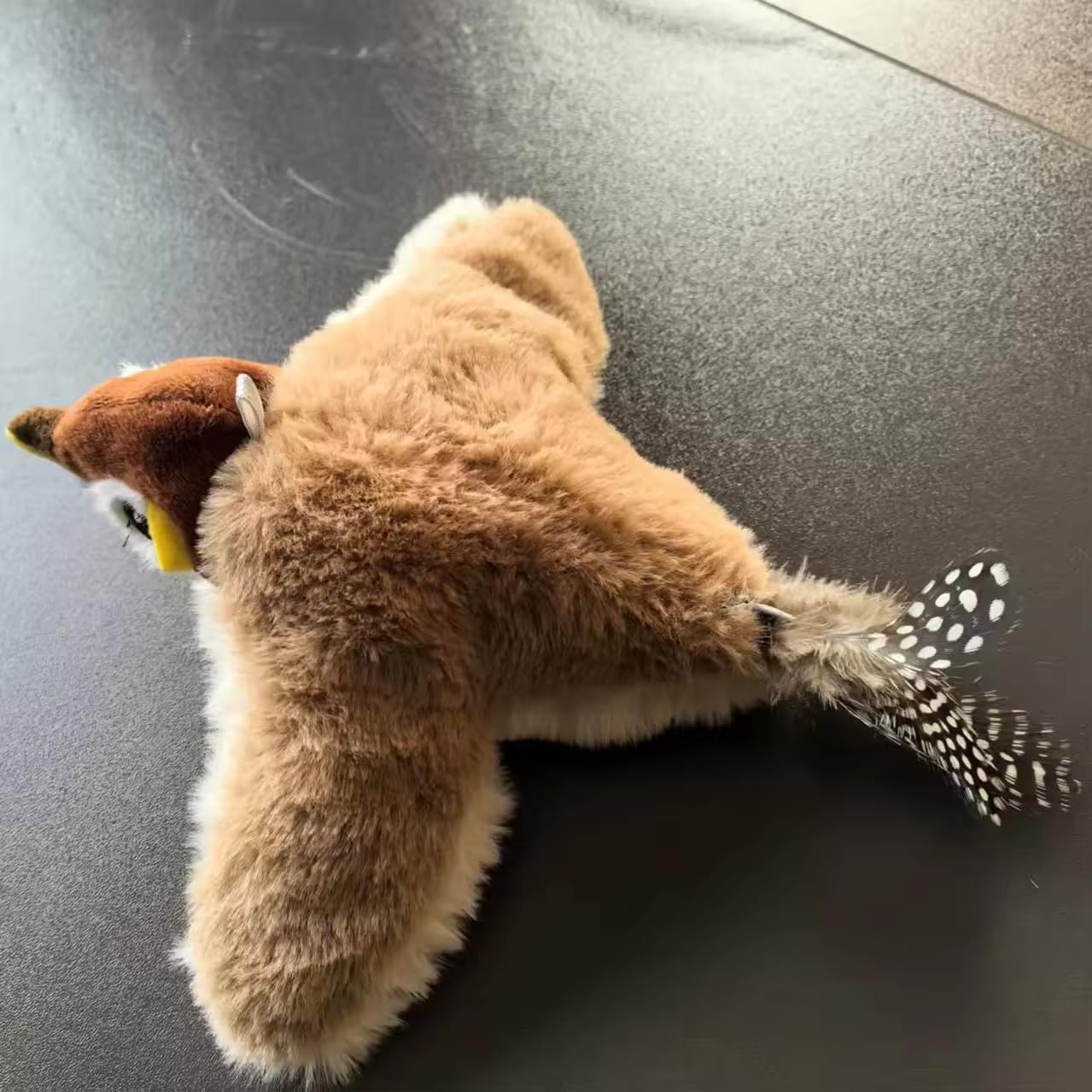 Fly Bird Toy Cat