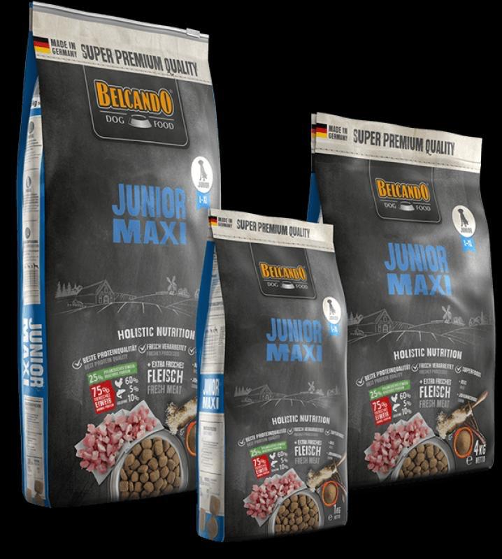 BELCANDO Junior Maxi - 4kg