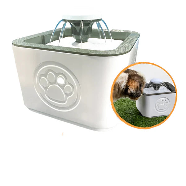 Automatic dog water Fountain