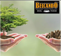 Belcando adult active dry food for dogs 4kg