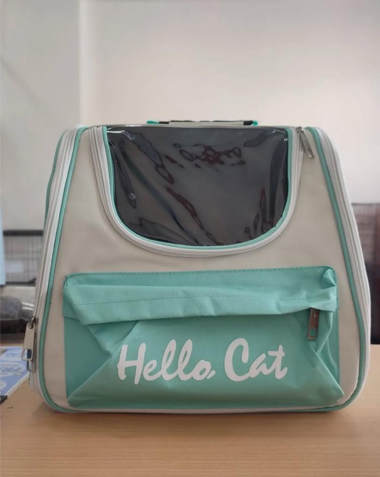 Backbag for cats
