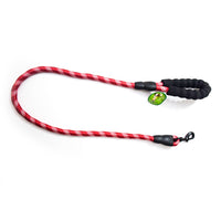 bomei pet leash