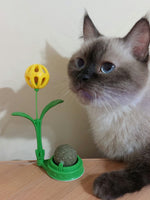 Catnip Toy with Ball