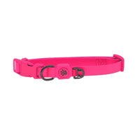 DOCO® Jelly Bean Nylon Dog Collar