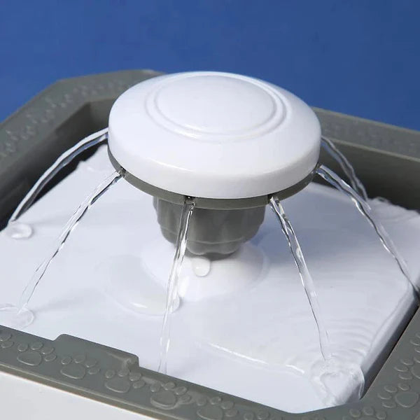 Automatic dog water Fountain