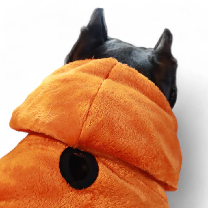 Pet Moda Fur Hoodi Multi-colors options-2