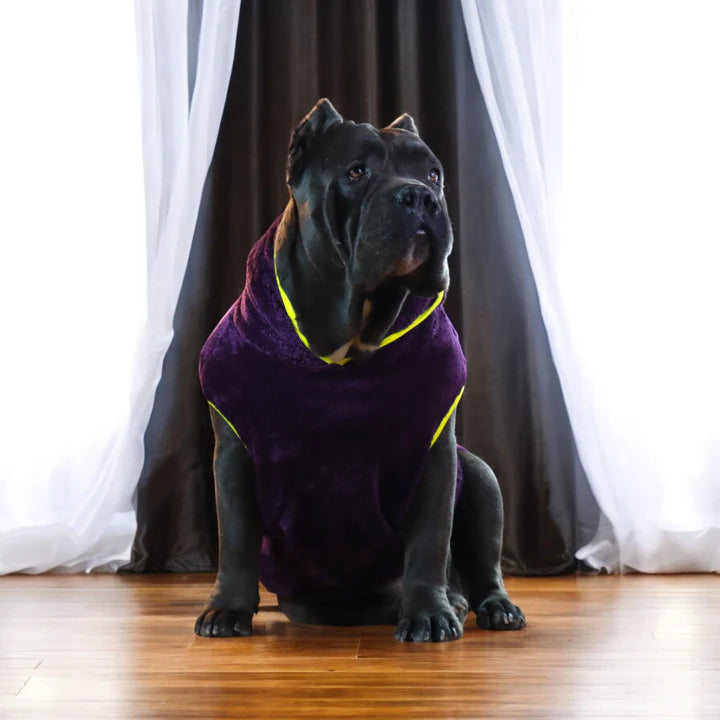 Pet Moda Fur Hoodi Multi-colors options-5