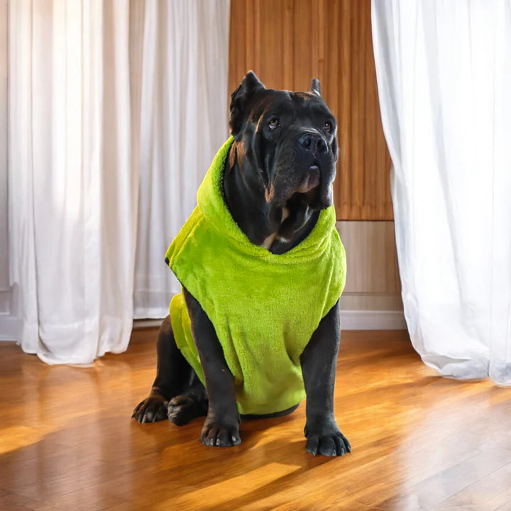 Pet Moda Fur Hoodi Multi-colors options-4