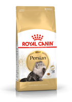 Royal Persian Adult 4k