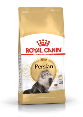 Royal Persian Adult 4k