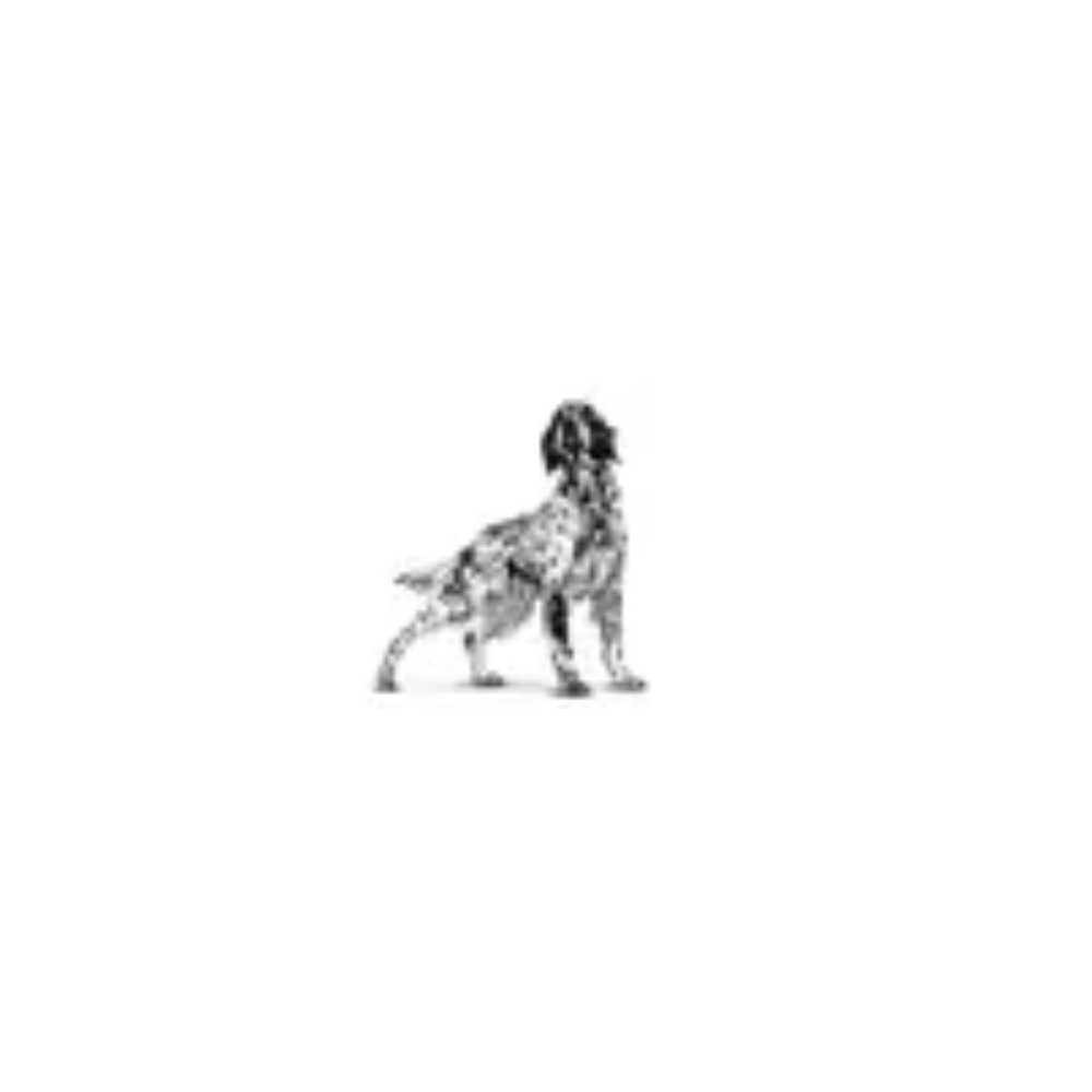 Royal Canin Dog Dry Gastrointestinal Adult  2 kg