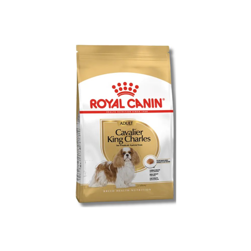 Royal Canin Dog Dry Food  king Charl Cavalier 3 kg