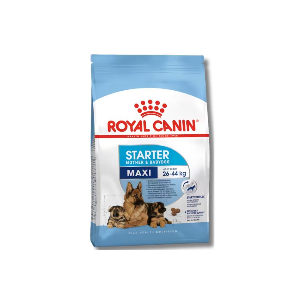 Royal Canin Maxi Starter For Mother and Babydog - Dry Food(4KG/15KG)