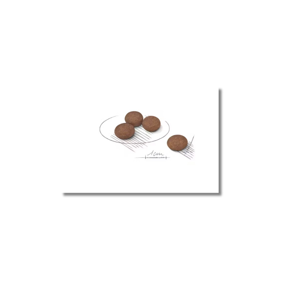 Royal Canin Dog Dry Food Digestive Mini 3 kg