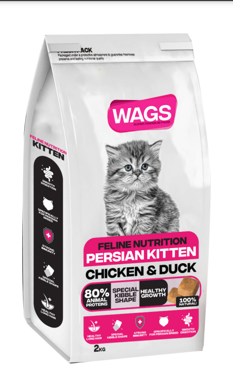 Persian kitten wet food fashion