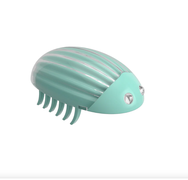 Cat toy chasing beetle inspiring the hunting instinct