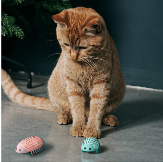 Cat toy chasing beetle inspiring the hunting instinct